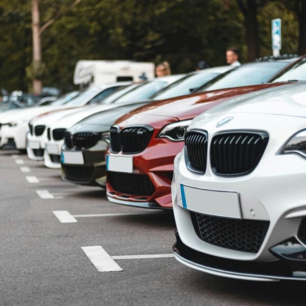 sara-kurfess-gmMja8G6gw4-unsplash.jpg Sara kurfess gmMja8G6gw4 unsplash jpg